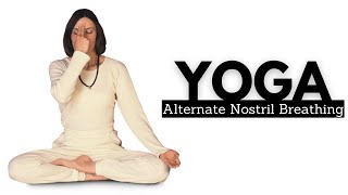 Alternate Nostril Breathing Anuloma Pranayama [upl. by Thane]