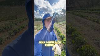 Agora já não restão dúvidas café cafeeiro agro [upl. by Aldis96]