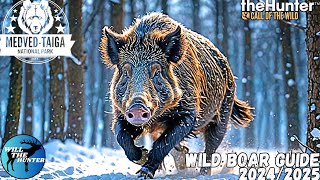 Medved Taiga Wild Boar Guide  TheHunter Call Of The Wild 2425 [upl. by Zavras]