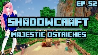 Majestic Ostriches  ShadowCraft  Ep 52 [upl. by Allene]