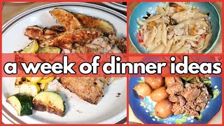 3 NEW INSTANT POT RECIPES  What’s For Dinner 342  1WEEK OF REAL LIFE MEALS [upl. by Truc]