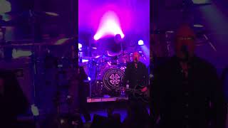 Flogging Molly  Rebels of the Sacred Heart LIVE Clip  Albuquerque New Mexico March 13 2024 [upl. by Kolva]