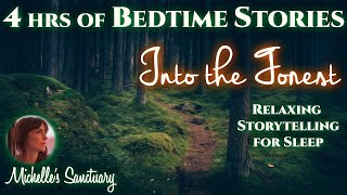 4 HRS Continuous Relaxing Stories for Sleep  INTO THE FOREST  Cozy Bedtime Stories for GrownUps [upl. by Teuton]