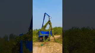 dump type jcb farmers  good helper goodquality crane drippygang jcb3dx dumptruck jcbvideo [upl. by Bonnibelle]