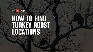 How To Find Turkey Roost Locations [upl. by Carthy]