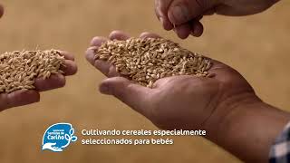 NESTLÉ 0 0  Desde el origen nuestros mejores cereales infantiles [upl. by Morette]