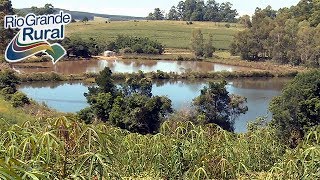 A restauração de ecossistemas naturais  Rio Grande Rural [upl. by Ayaet]