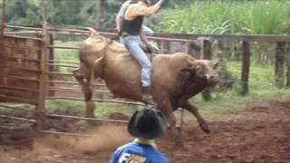 Italo Arantes Vs Carrasco Cia de Rodeio Boa Safra [upl. by Mcnutt461]