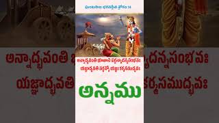 Bhagavad Gita ghantasala Bhagavad Gita శ్లోకం 14telugumotivation ytshorts [upl. by Eastlake180]