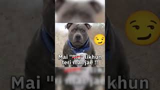 funny funnyvideo memes meme [upl. by Rimma]