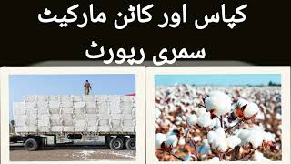 Pakistan Local Cotton Business information and Rate update [upl. by Ennovad]