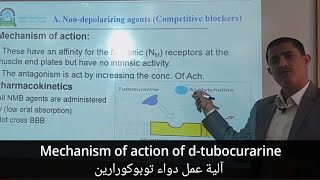 Mechanism of action of dtubocurarine آلية عمل دواء توبوكورارين [upl. by Broeder]