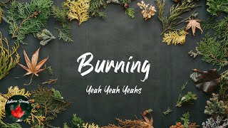 Yeah Yeah Yeahs  Burning Lyric video [upl. by Edrick]