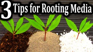 The BEST Medium for Rooting your Cuttings  3 Criteria for Successful Plant Propagation [upl. by Sandler]