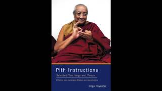 HH Dilgo Khyentse Rinpoche  Pith Instructions  Dzogchen [upl. by Zirkle533]