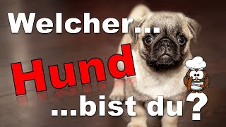 ✔ Welcher Hund Bist Du  Persönlichkeitstest [upl. by Marguerite]