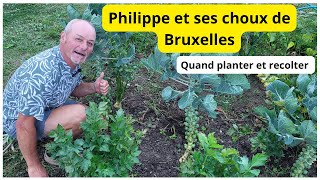 Les choux de bruxelles  bien planter et les réussir au jardin [upl. by Lud]