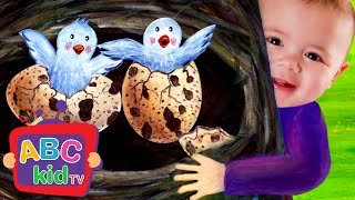 N is for Nest  Learn Letters  ABC Kid TV Nursery Rhymes amp Kids Songs [upl. by Shugart]