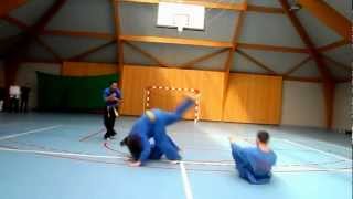 Démonstration Vovinam Viet Vo Dao Bousies [upl. by Spiers]