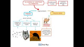 videomappa  scienze  19 gli animali si adattano allambiente [upl. by Seravat433]