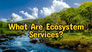 What Are Ecosystem Services Nature’s Essential Benefits [upl. by Shina]