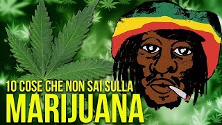 10 COSE CHE NON SAI SULLA MARIJUANA [upl. by Airaet]