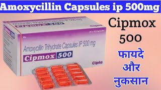 Cipmox 500 Capsule Uses Dosage And Side Effects  Amoxycillin Capsules ip 500mg  फायदे और नुकसान [upl. by Aham]