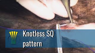 Knotless subcutaneous suture pattern [upl. by Yewed]