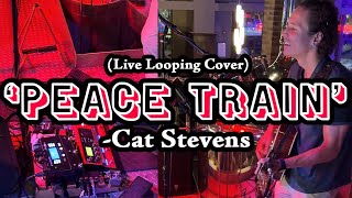 Cat Stevens  Peace Train Live Looping Cover [upl. by Bohun]