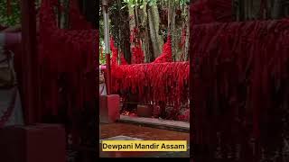 Dewpani Mandir Assam 2024 [upl. by Corena]