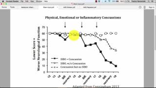 Traumatic Brain Injuries Do Not Recover Because of LPSActivated Microglia within the CNS [upl. by Llenrod]