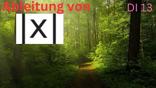 Ableitung von Betrag von x DI 13 [upl. by Denie251]