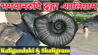 Shaligram Stone Shila  Kali Gandaki River Nepal  The Gandaki River Shaligram Stone Orginal Test [upl. by Garrick]