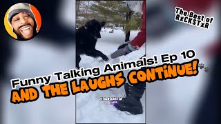 Best of RxCKSTxR Funny Talking Animal Voiceovers Compilation Ep 10 [upl. by Yetty234]