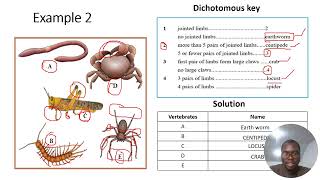 IGCSE BIOLOGY  DICHOTOMOUS KEY [upl. by Nedearb]