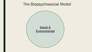 The Biopsychosocial Model [upl. by Naed238]