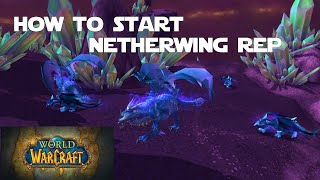 How to Get Started with the Netherwing Faction and Get your Netherwing Drake [upl. by Mignonne814]