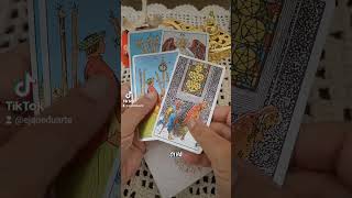 Insisto ou Desisto tarot oraculo insistoudesisto [upl. by Tannie633]