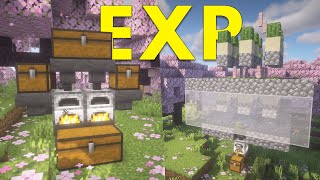 EASIEST XP Farms For Minecraft Java 121 [upl. by Alemak]