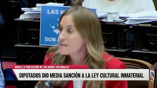 Diputados dio media sanción a la ley cultural inmaterial [upl. by Hessler]