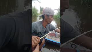 mancing ikan kelabau besar [upl. by Mollie]