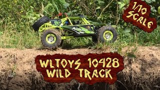 WLToys rock crawler 10428 RC Wild track110 [upl. by Anse412]