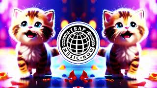 MEOW MEOW MEME SONG OFFICIAL DRILL TRAP REMIX TIK TOK  NOA [upl. by Neellek]