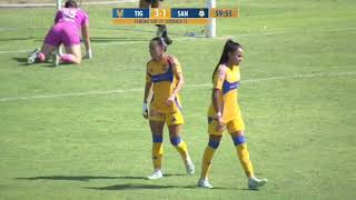 Tigres vs Santos  Femenil sub 19  Resumen 51  J13  Apertura 2024 [upl. by Sinoda]