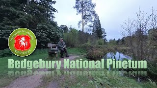 Bedgebury National Pinetum Kent Walks Series [upl. by Lennor]