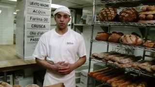 Bricco Panetteria  Boston Phantom Gourmet [upl. by Kurys]