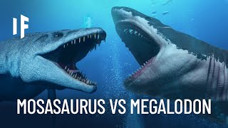 What If the Megalodon Shark Fought the Mosasaurus [upl. by Eyk]