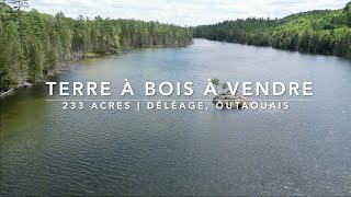 Terre à bois en bord de lac à vendre  233 acres à Déléage Outaouais [upl. by Noret]