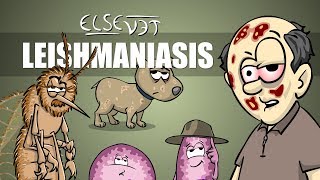 Leishmaniasis  Plain and Simple [upl. by Treblih]