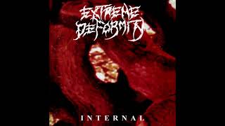 Extreme Deformity  Internal Full Album [upl. by Bettencourt699]